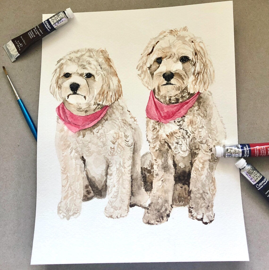 Watercolour portrait of two fluffy cream dogs in pink bandanas, painted from a photo