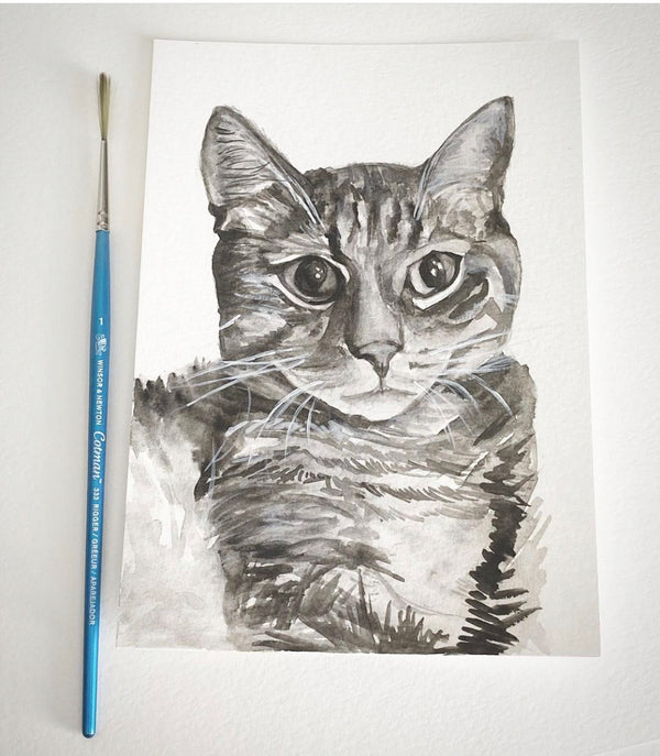 Custom watercolor pet portrait — Cat