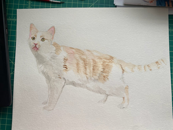 Custom watercolor pet portrait — Cat