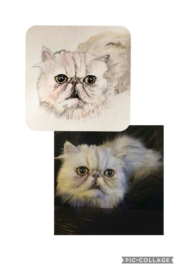 Custom watercolor pet portrait — Cat