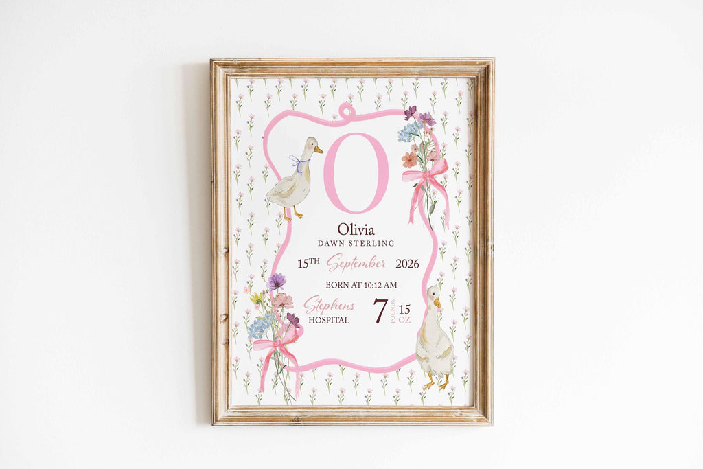 Birth Stats Print, Personalized Baby Girl name sign, Birth Details Keepsake Gift, Newborn Gift, Nursery decor, Goose Grandmillenial Decor