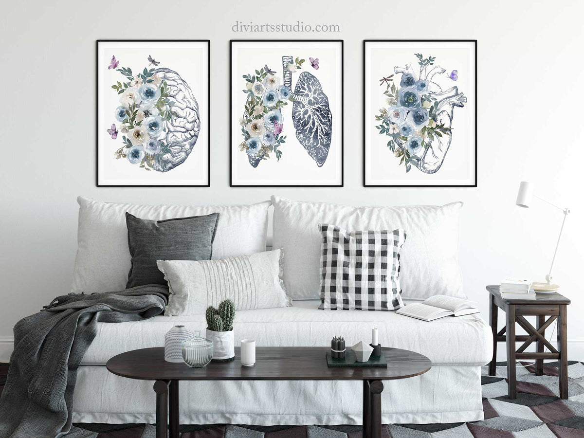 Anatomy wall art prints Set