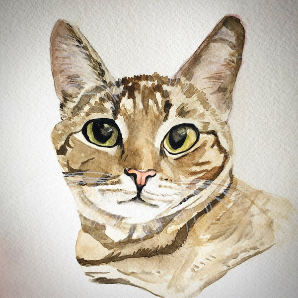 Custom watercolor pet portrait — Cat
