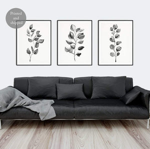 Three black eucalyptus prints above a black leather sofa