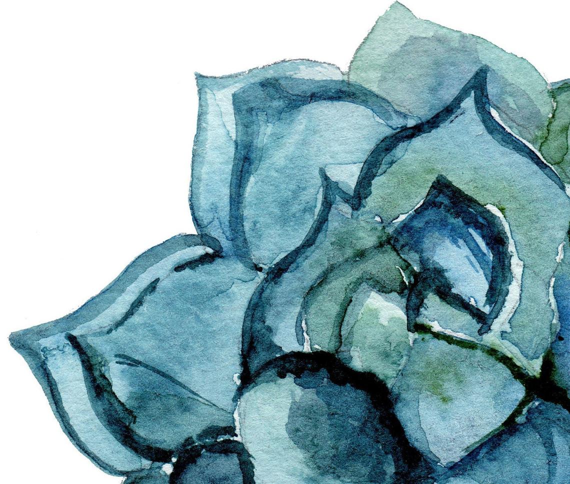Décoration murale succulente florale, ensemble de 2 pièces d'art mural imprimées Image secondaire du produit