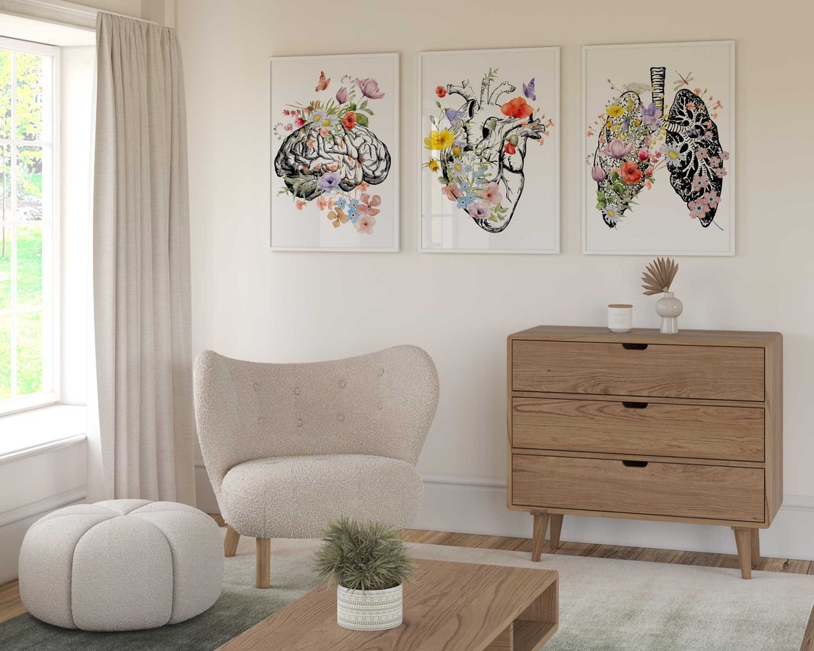 Conjunto de 4 láminas de arte anatómico, juegos de pósteres médicos Imagen secundaria del producto