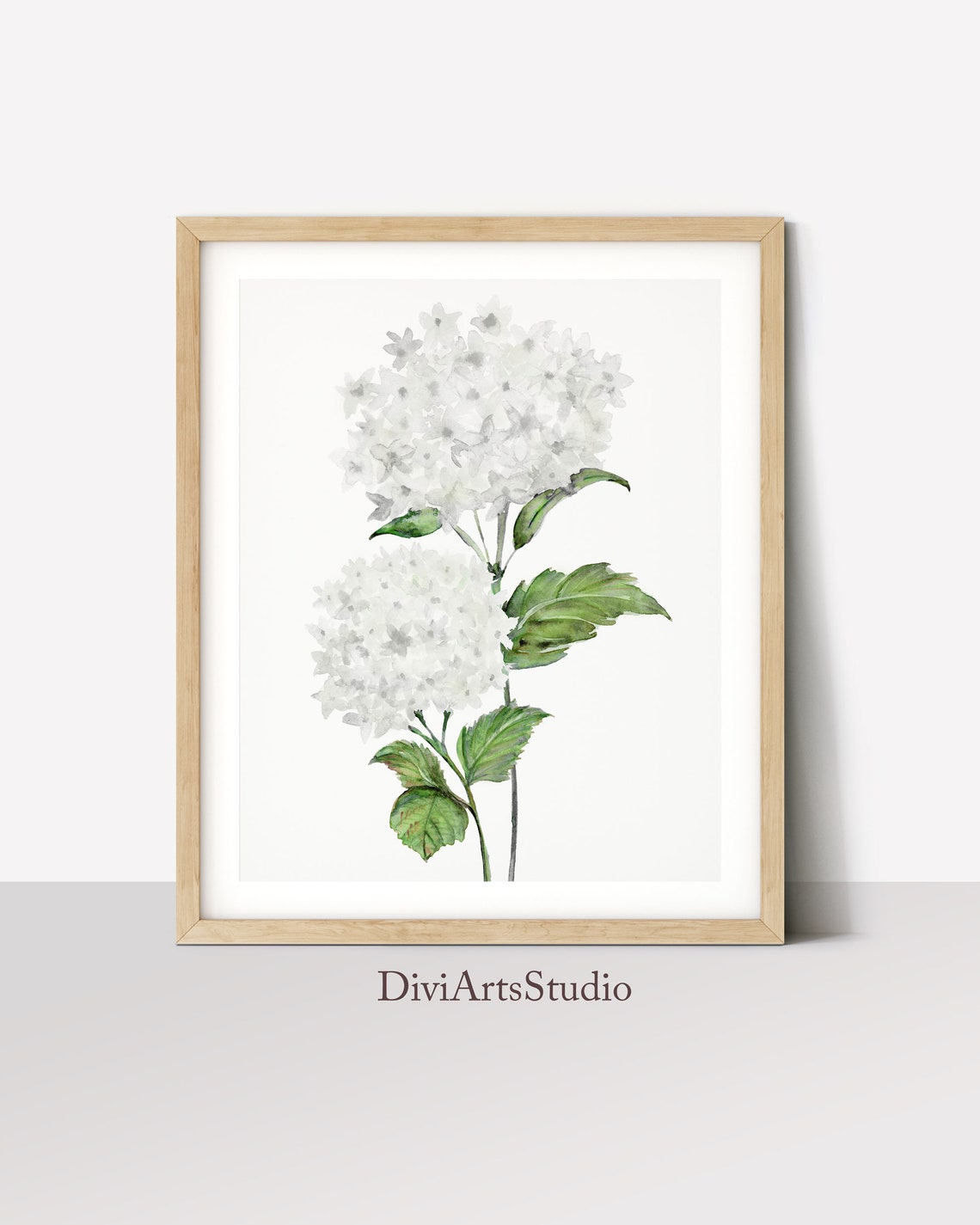Cuadro de Hortensias Blancas, Acuarela de Hortensias, Láminas Botánicas para Pared, Lámina de Hortensias, Arte Floral Blanquecino para Pared, Lámina de Arte Floral de Calidad Imagen secundaria del producto