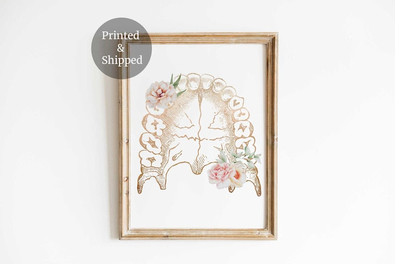 Dental art, Tooth anatomy, Dentist office decor, Floral Anatomical Teeth, Dental Hygienist, Dentistry Wall Art Print, Dentist gifts