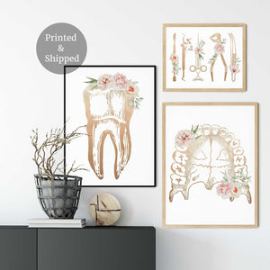 Dental set with a floral tooth, dental tools and a dental arch